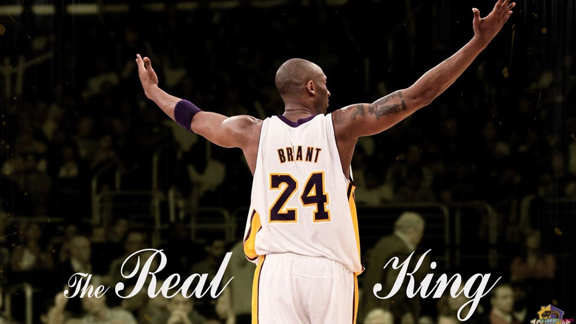 伤病内乱：教练揭示更衣室矛盾内幕